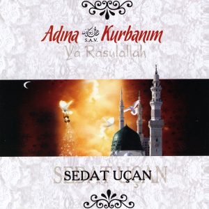 Sedat Uçan