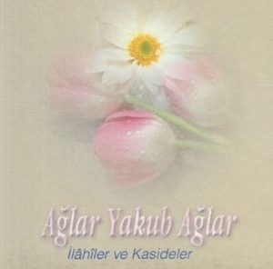 Mehmet Emin Ay