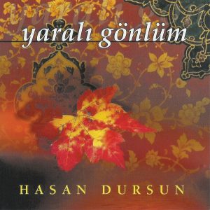 Yaralı Gönlüm (2001)